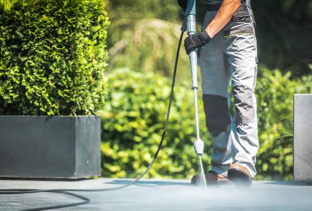 Best Solar Panel Cleaning  in South Bloomfield, OH